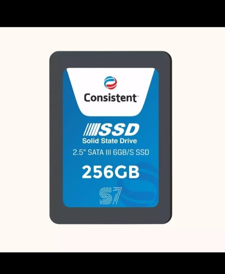 Consistent 256GB SATA SSD